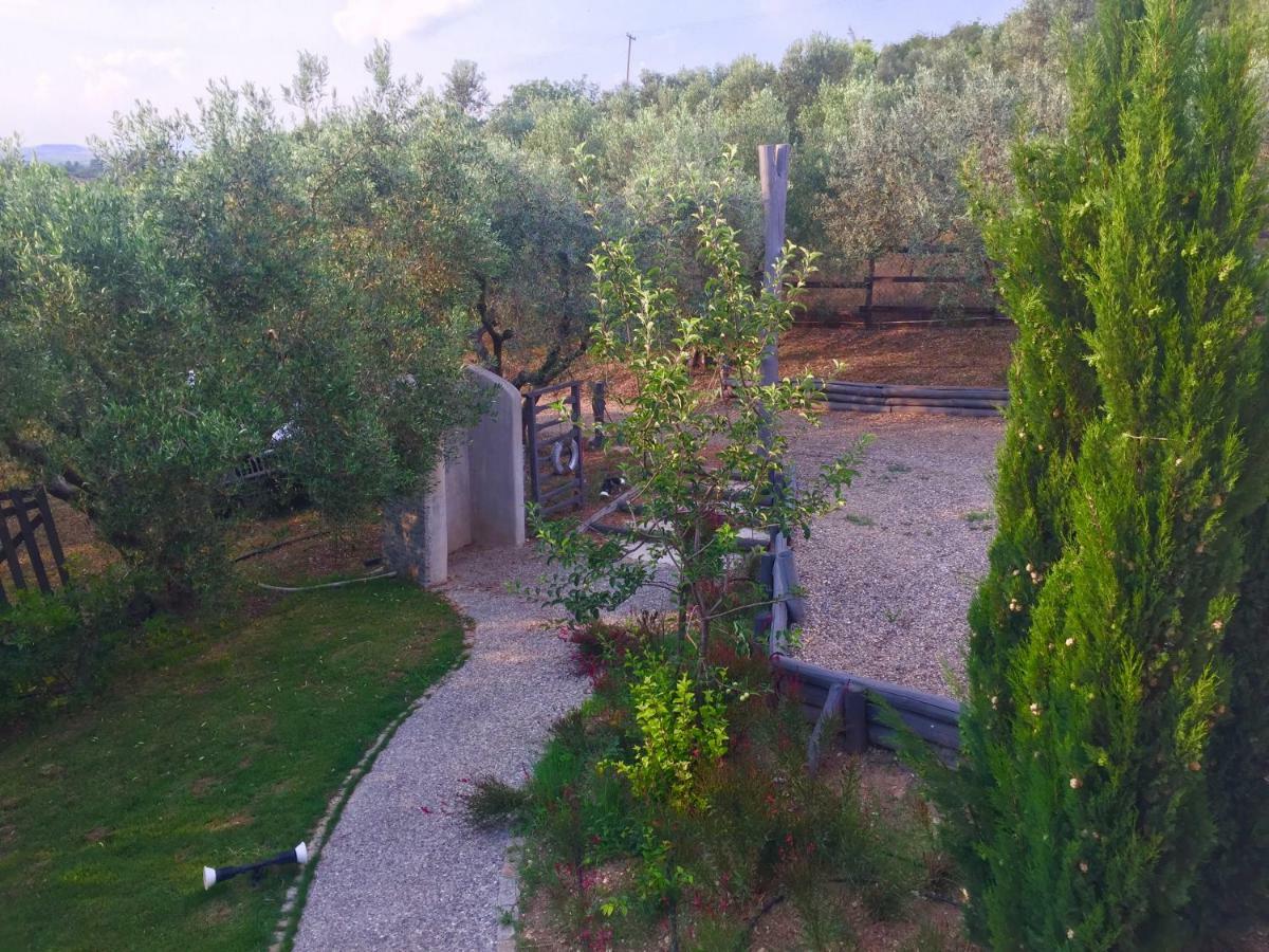Sea view villa in Olive Garden Nea Kallikrateia Exteriör bild