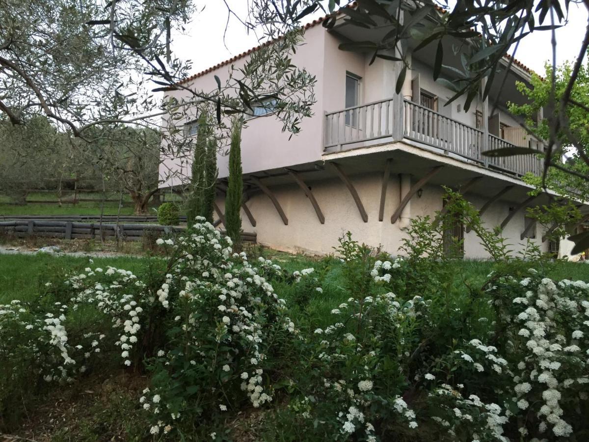 Sea view villa in Olive Garden Nea Kallikrateia Exteriör bild